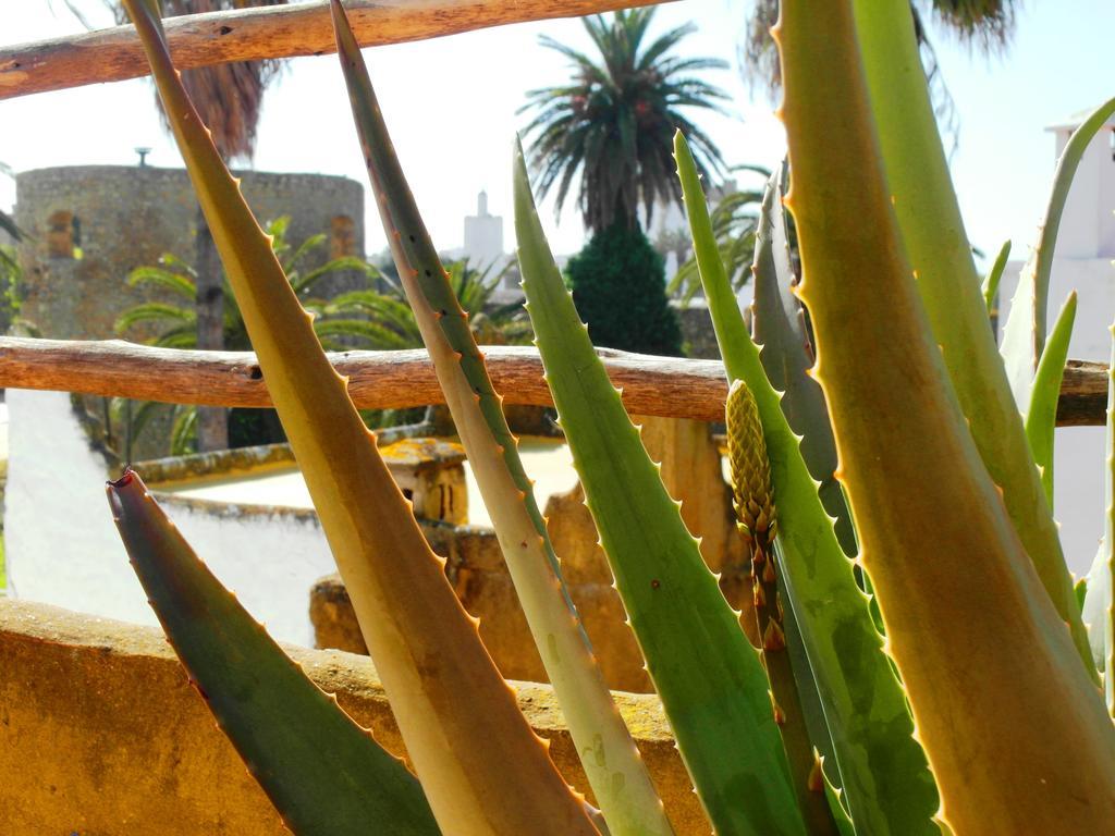 Patio De La Luna Asilah Exteriör bild